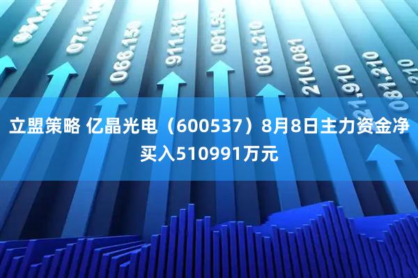 立盟策略 亿晶光电（600537）8月8日主力资金净买入510991万元