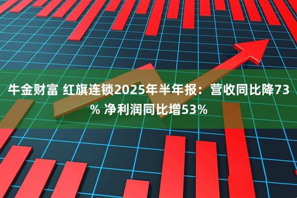 牛金财富 红旗连锁2025年半年报：营收同比降73% 净利润同比增53%