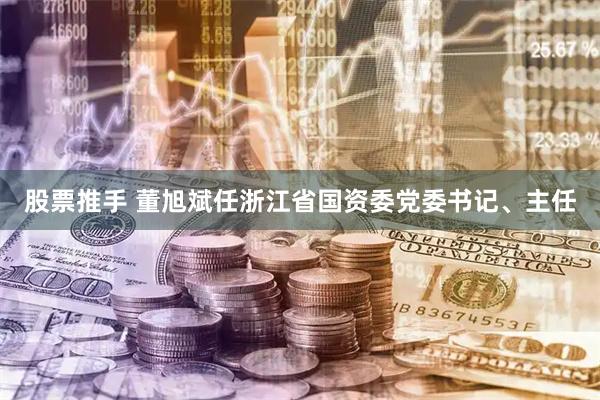 股票推手 董旭斌任浙江省国资委党委书记、主任