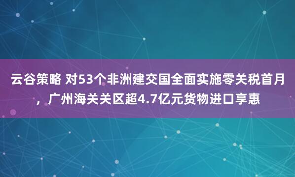 云谷策略 对53个非洲建交国全面实施零关税首月，广州海关关区超4.7亿元货物进口享惠